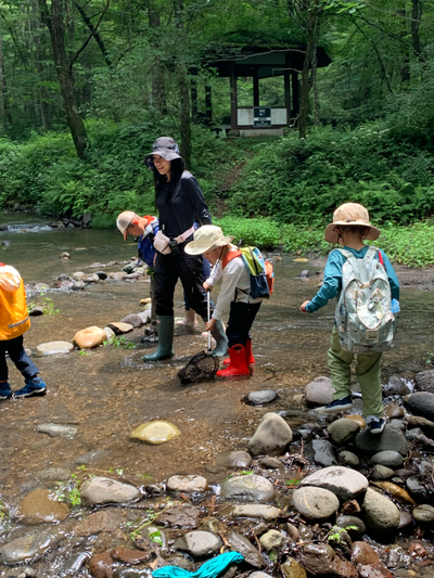 Children stand in the stream and decide where to place the net as water shifts around the stones.